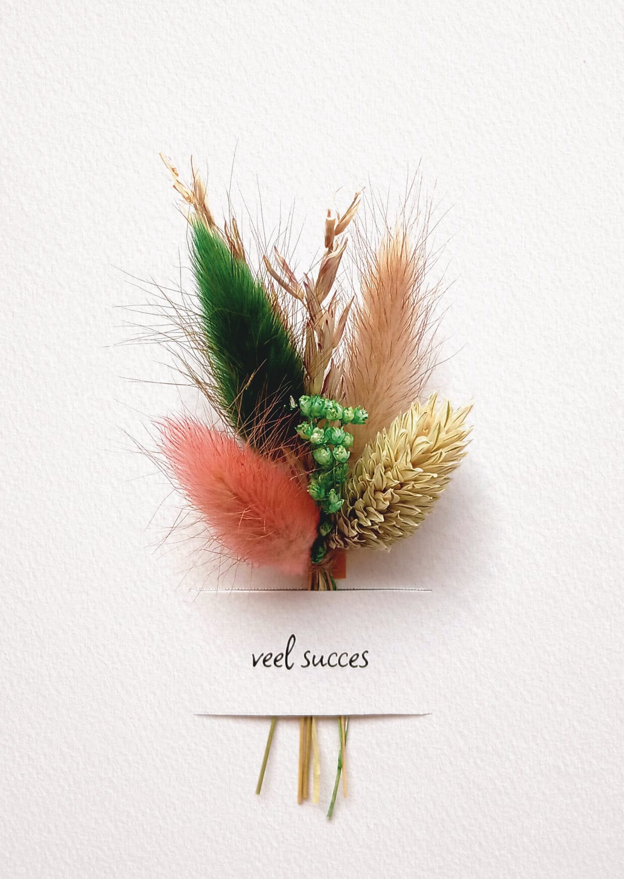 Wenskaart - veel succes