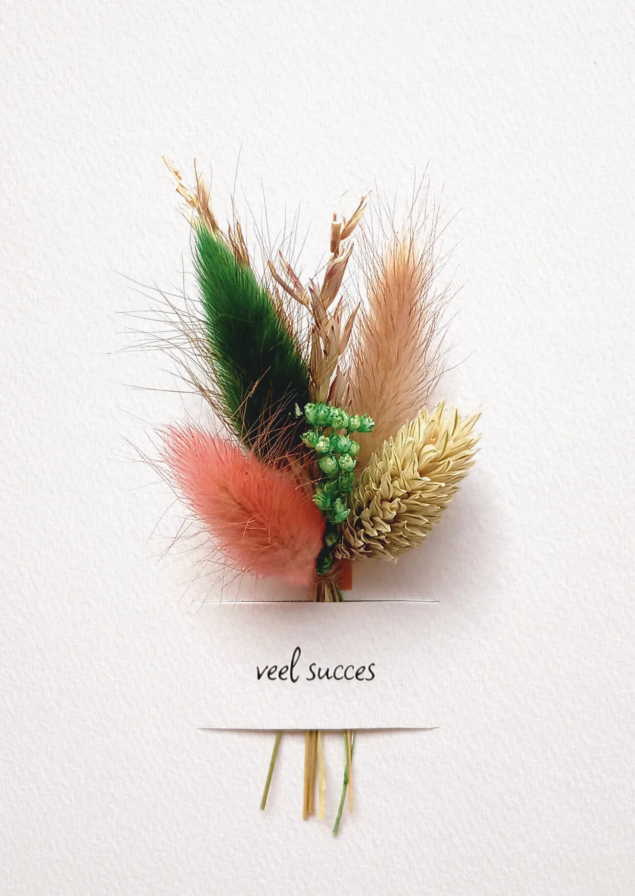 Wenskaart - veel succes